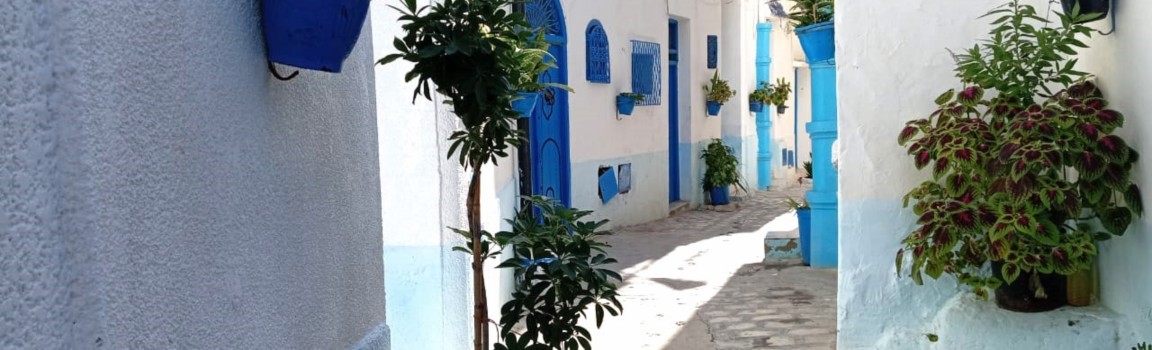 La Kasbah de Bizerte
